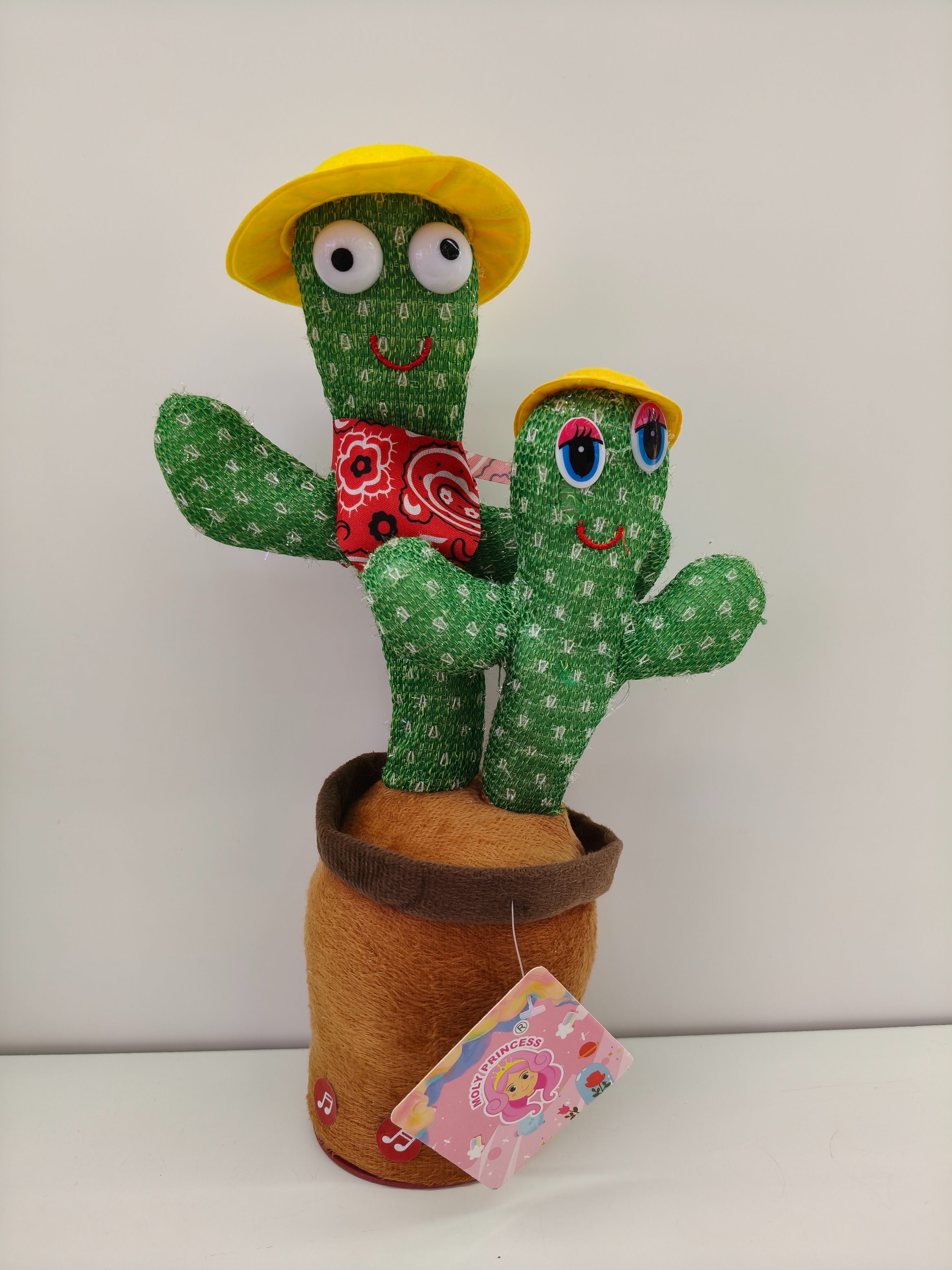 Dress up, mother and child, cactus learning to speak and dance, cactus twisting toys, children's gifts details Picture