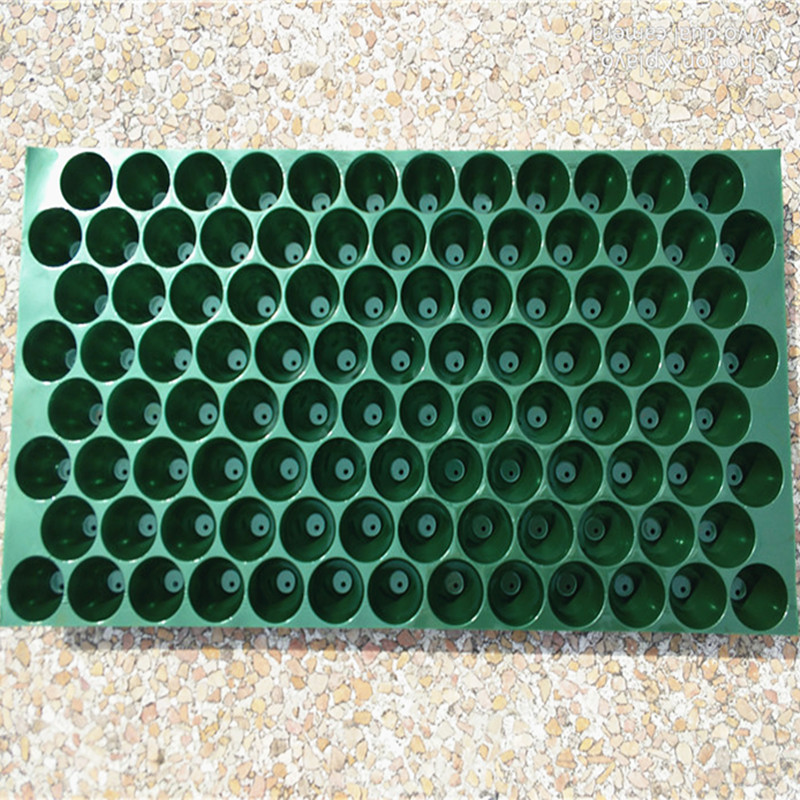 Bandeja de plántulas de PVC con agujeros redondos 54‑100 agujeros multicolor opcional maíz chili melón vegetal plántulas bandeja de agujeros details Picture
