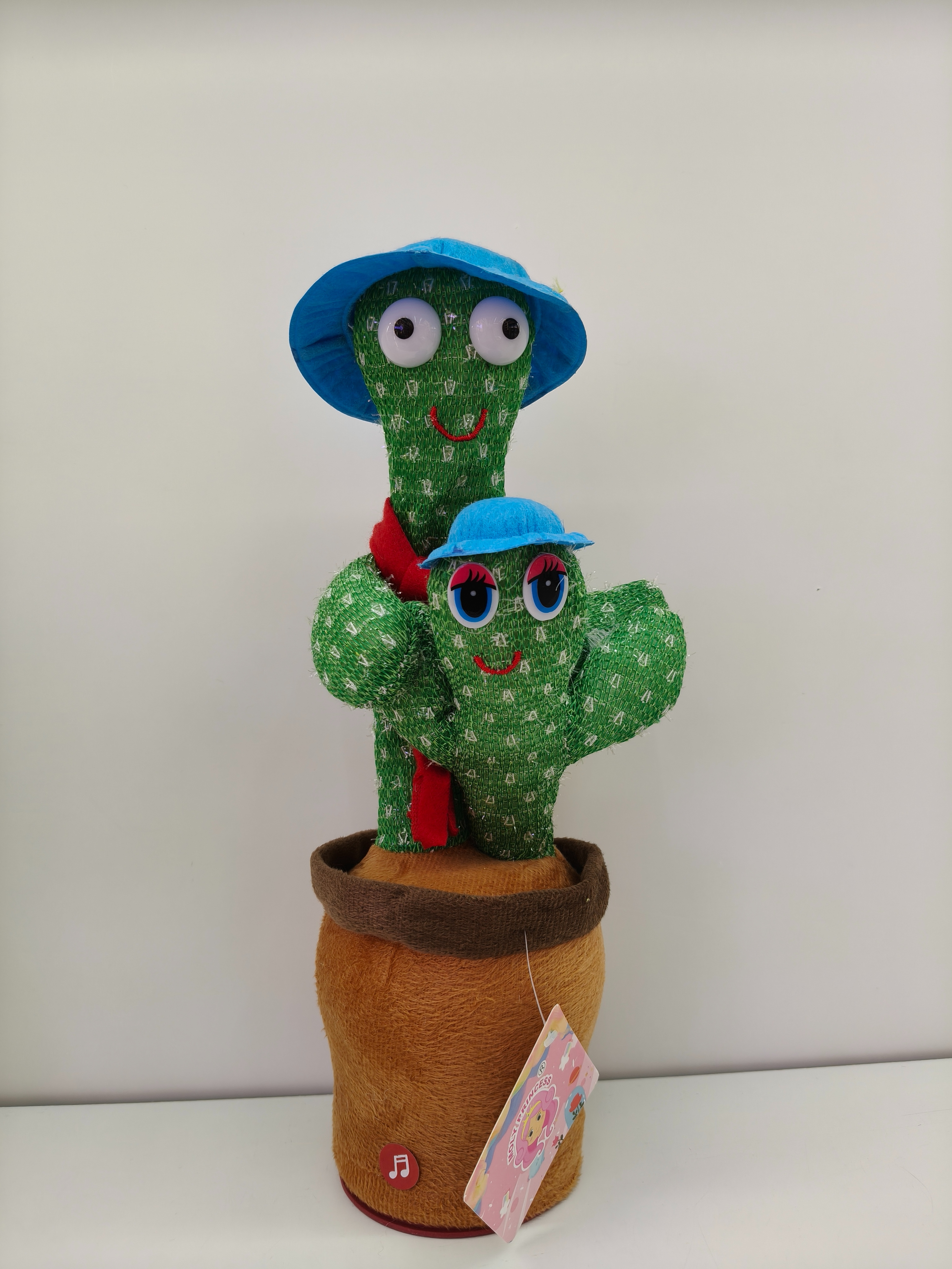 Dress up, mother and child, cactus learning to speak and dance, cactus twisting toys, children's gifts Application Scenario
