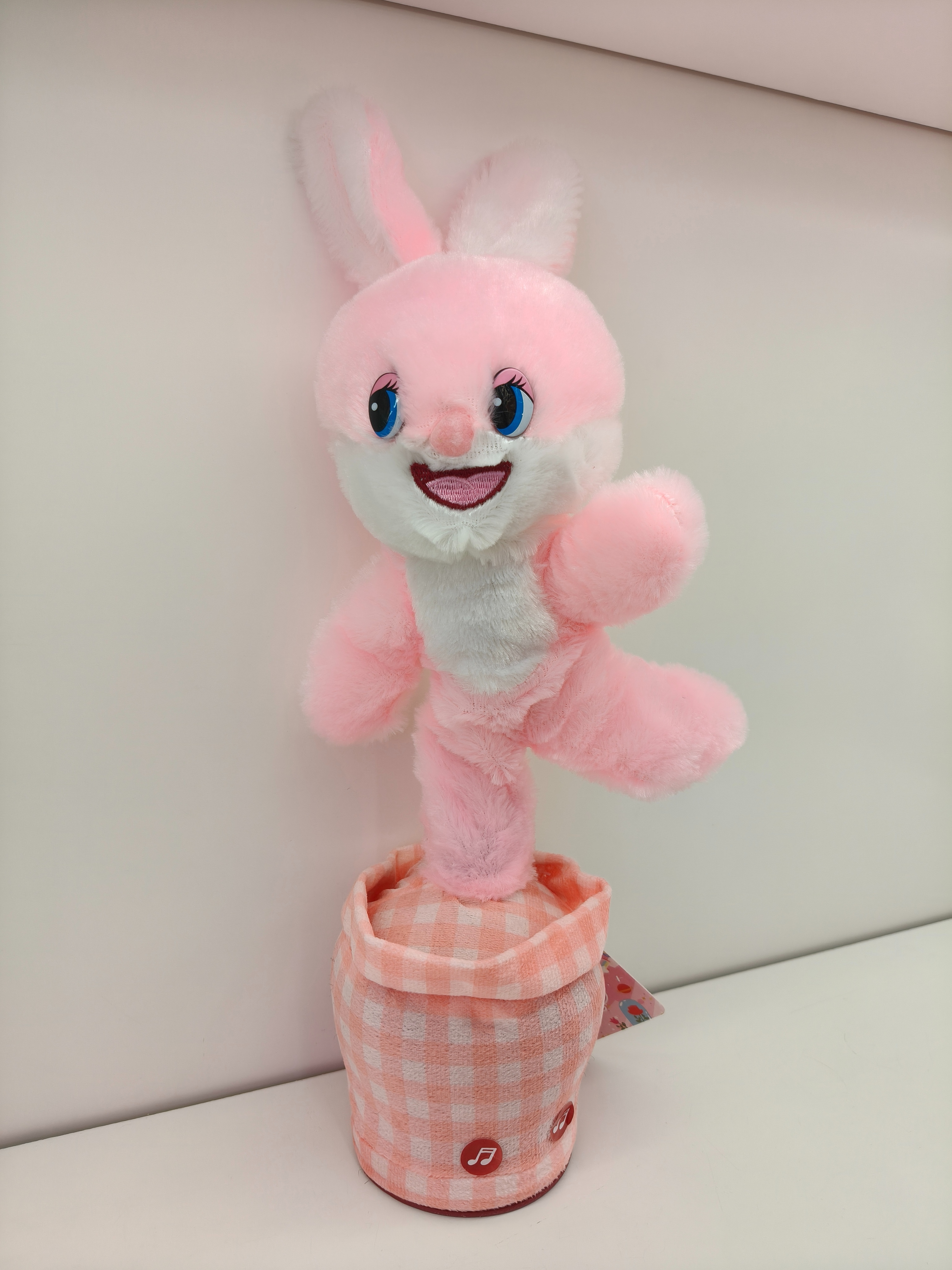 The slant-legged rabbit cactus can play Musical Instruments, twist and sing, accompany toys, children's gifts Application Scenario