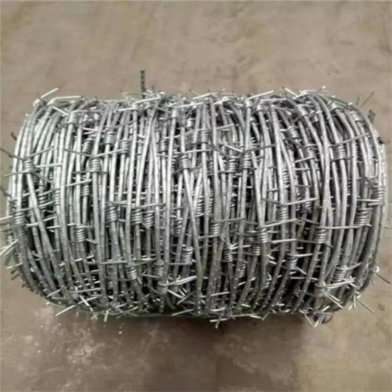 Alambre alambre espinoso tender a twist espina cuerda galvanizado espina cuerda machete espina delgado alambre puntiagudo prisión aislamiento cerca de acero inoxidable trepar piedra del muro de la red TieJiLi ladronzuelo cuchillas espina cuerda para escalar el cuchillo de enmalle escuela