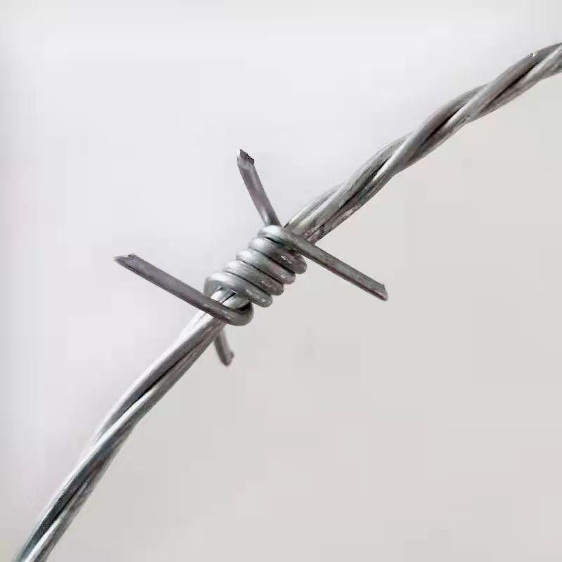 Alambre alambre espinoso tender a twist espina cuerda galvanizado espina cuerda machete espina delgado alambre puntiagudo prisión aislamiento cerca de acero inoxidable trepar piedra del muro de la red TieJiLi ladronzuelo cuchillas espina cuerda para escalar el cuchillo de enmalle escuela details Picture