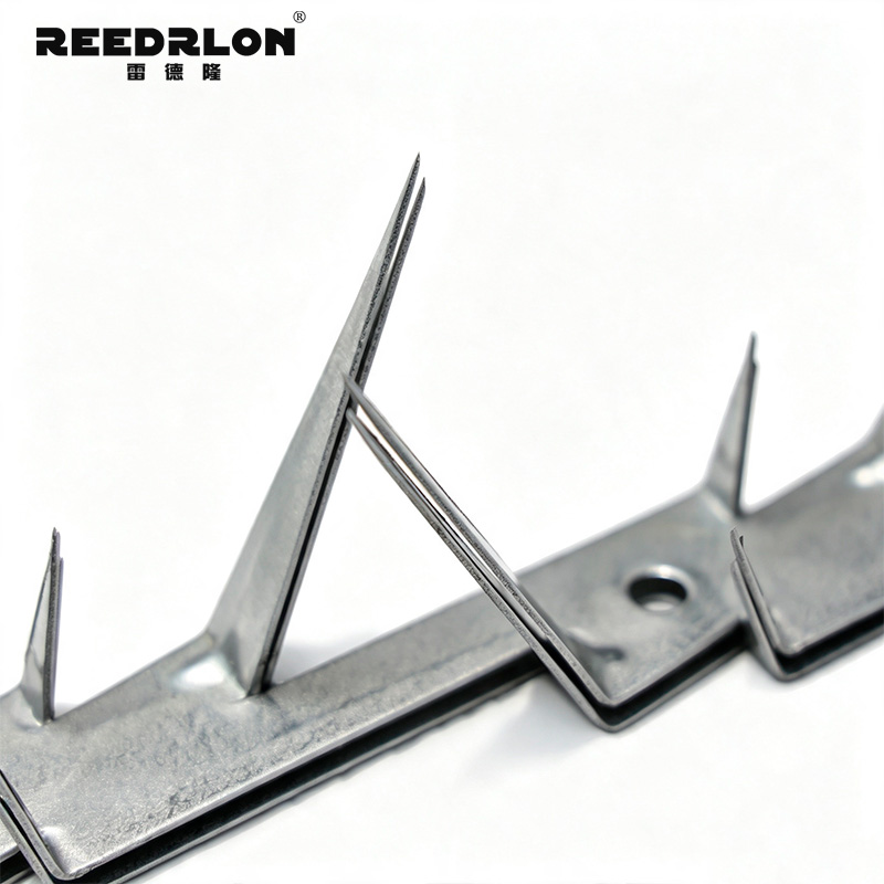 Leidelong fence spike nail, boundary barrier spike nail strip, hot-dip galvanized stainless steel factory area wall top protection spike nail pic 2