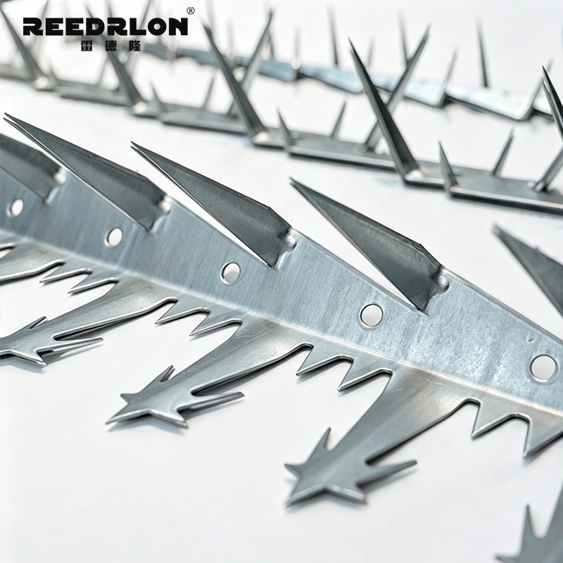 Leidelong fence spike nail, boundary barrier spike nail strip, hot-dip galvanized stainless steel factory area wall top protection spike nail pic 7