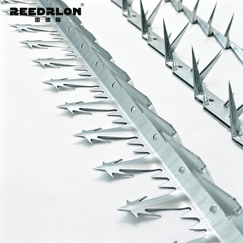Leidelong fence spike nail, boundary barrier spike nail strip, hot-dip galvanized stainless steel factory area wall top protection spike nail pic 4