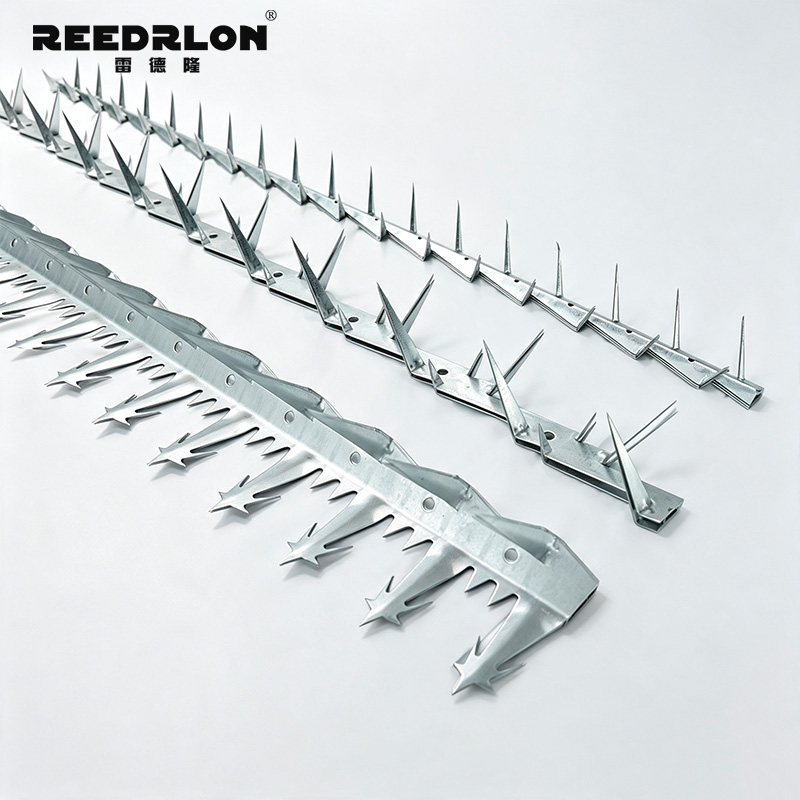 Leidelong fence spike nail, boundary barrier spike nail strip, hot-dip galvanized stainless steel factory area wall top protection spike nail pic 5
