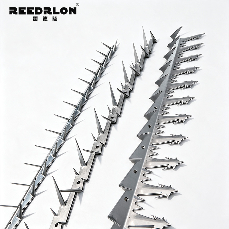 Leidelong fence spike nail, boundary barrier spike nail strip, hot-dip galvanized stainless steel factory area wall top protection spike nail pic 3