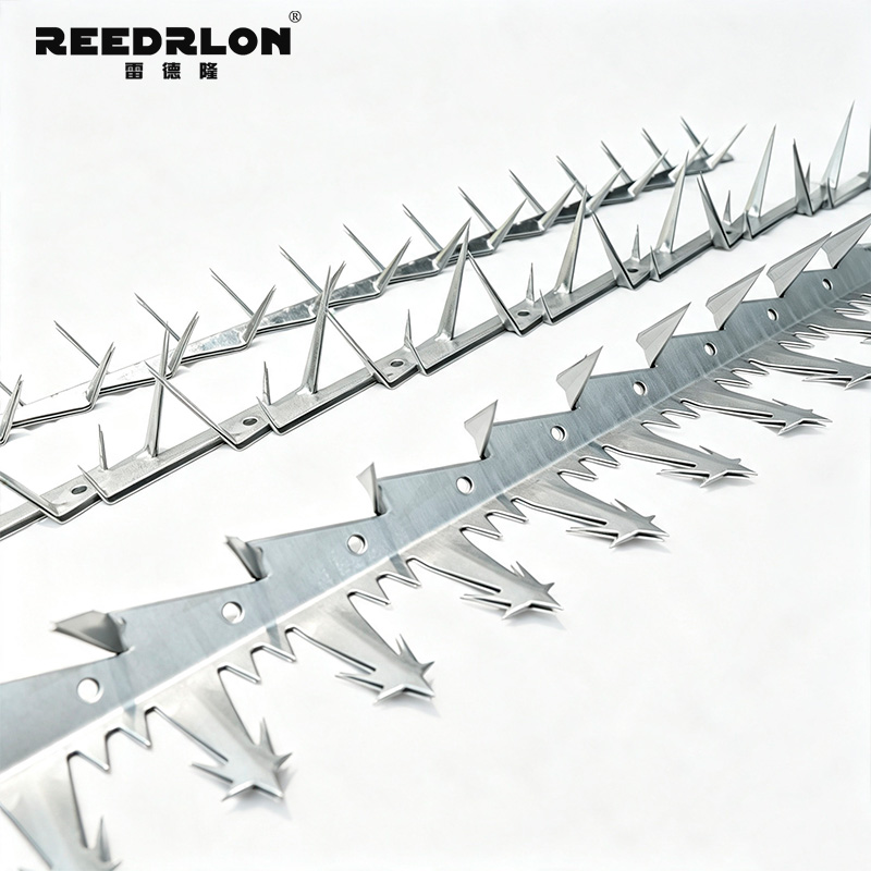 Leidelong fence spike nail, boundary barrier spike nail strip, hot-dip galvanized stainless steel factory area wall top protection spike nail pic 6