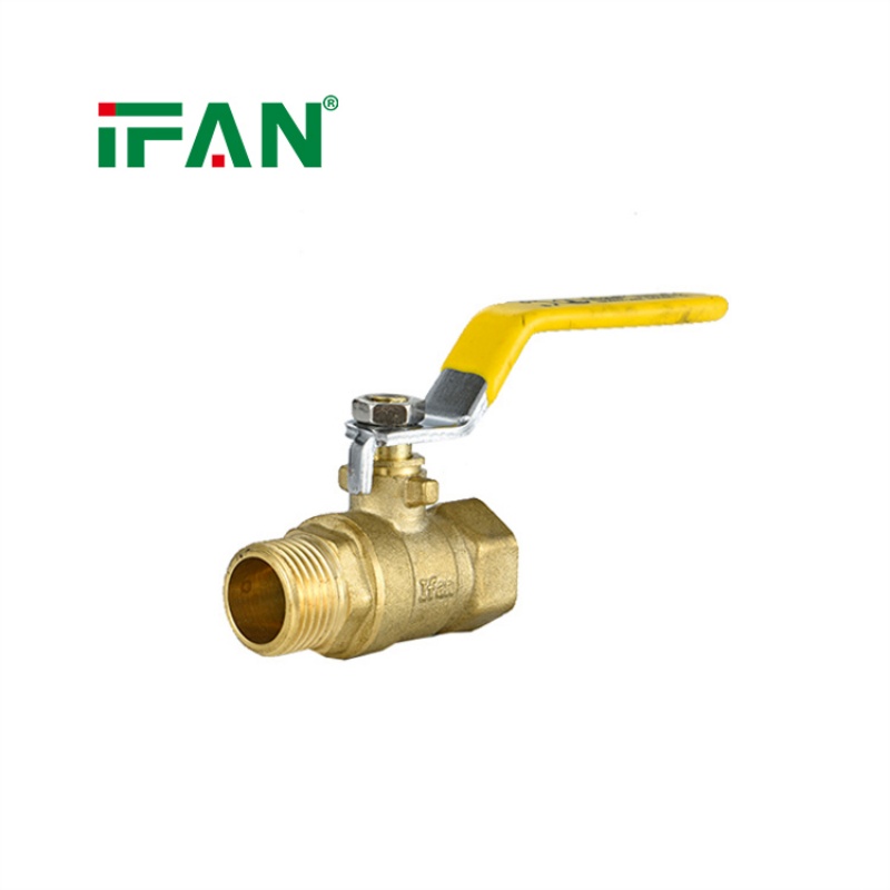IFAN Easy-to-Install Ball Valve with Male and Female Threads IFAN Easy-to-Install Ball Valve with Male and Female Threads