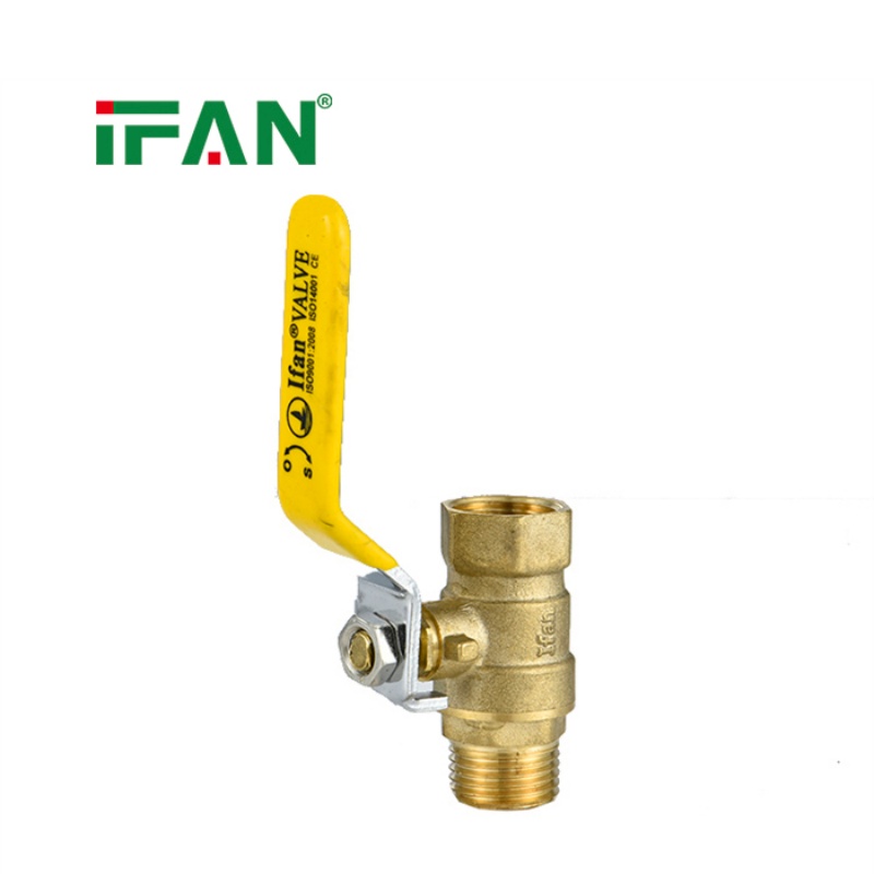 IFAN Easy-to-Install Ball Valve with Male and Female Threads details Picture