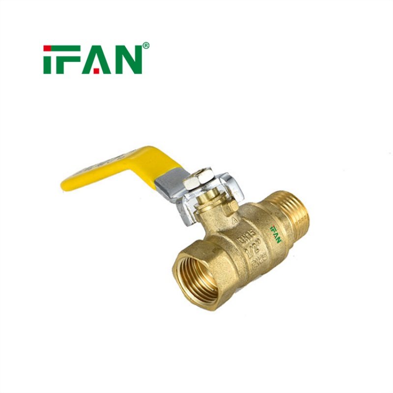 IFAN Easy-to-Install Ball Valve with Male and Female Threads Item Picture