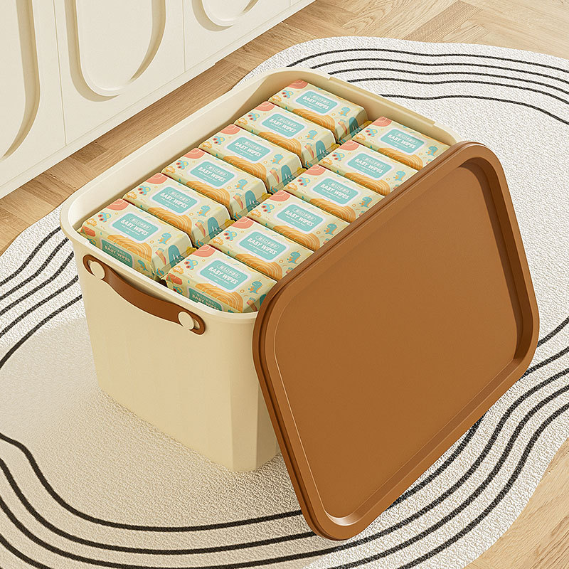N22-2401 multi-functional household plastic covered storage box, multi-specification large-capacity storage box for snacks Application Scenario