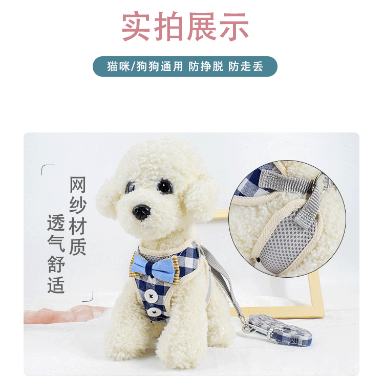 Explosive mesh cloth breathable pet chest strap dog vest leash gentleman button dog leash wholesale Item Picture