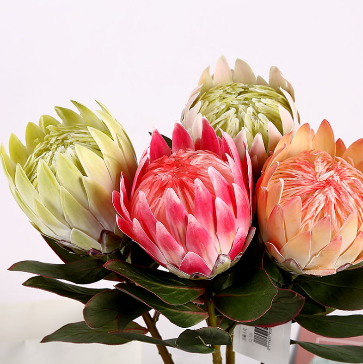 Yiwu quality products high-end simulation film, emperor flower simulation flower 霸王花 home decoration artificial flower, wedding arrangement longevity flower simulation emperor flower simulation 霸王花 pic 2