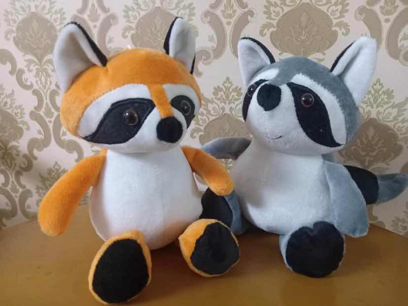 New raccoon thumbnail