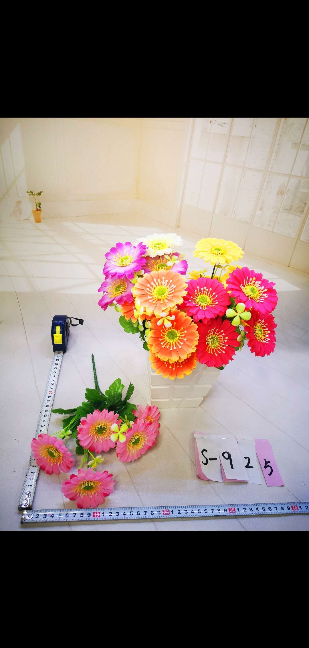 Five money chrysanthemums