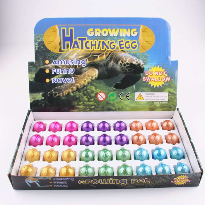 Novel toys: Cute turtles can hatch baby turtles to expand and swell. Fun toys: Hatching eggs