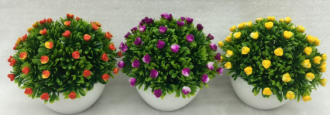 Potted milan small rose thumbnail