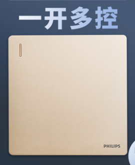 A golden intermediate switch is painted by Philips details Picture