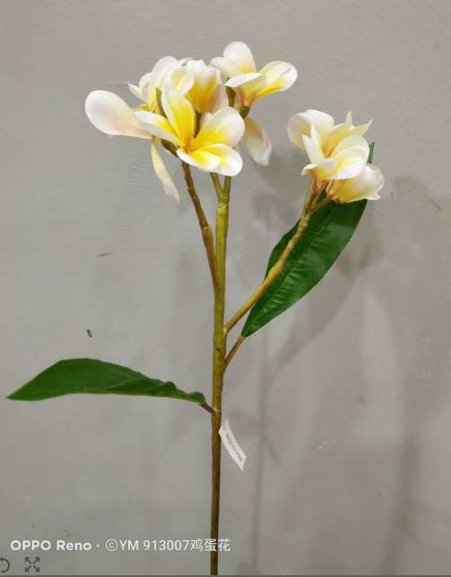 Frangipani, artificial flowers, fake flowers, artificial flowers, home handicrafts, hotel wedding decoration Application Scenario