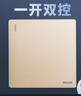 Philips gold-painted one-position switch details Picture