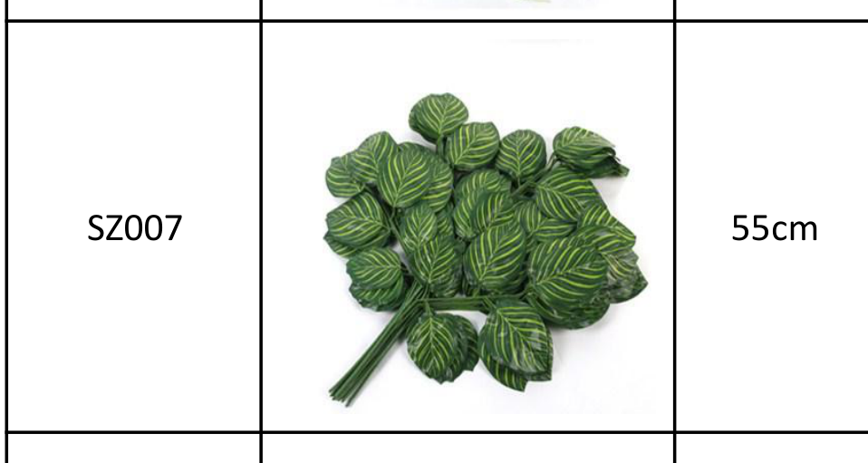 The simulation of plant