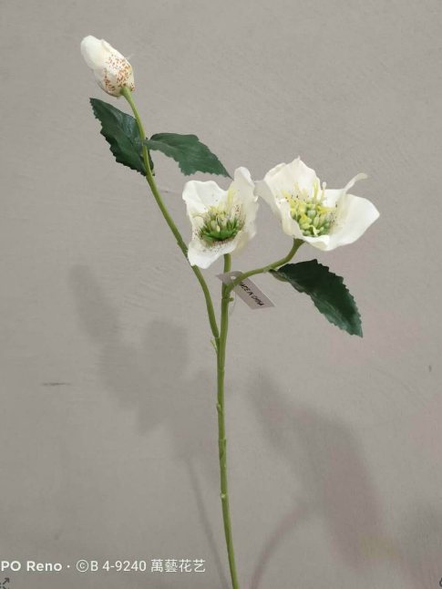 Única rosa de navidad flores simuladas flores falsas flores artificiales muebles artesanías hoteles decoración de bodas Application Scenario