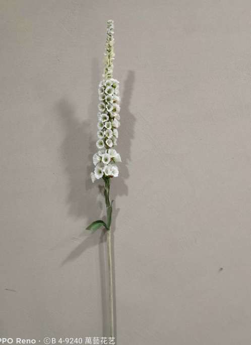 حفل الزفاف في فندق مصنوعات اليدوية المصنوعة من أثاث ثعلب ذو الذيل الصغير Item Picture