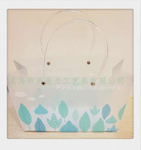 pp购物袋，pp包装袋，pp塑料袋，pp礼品袋，gift paper bag.  pp shopping bag详情图8