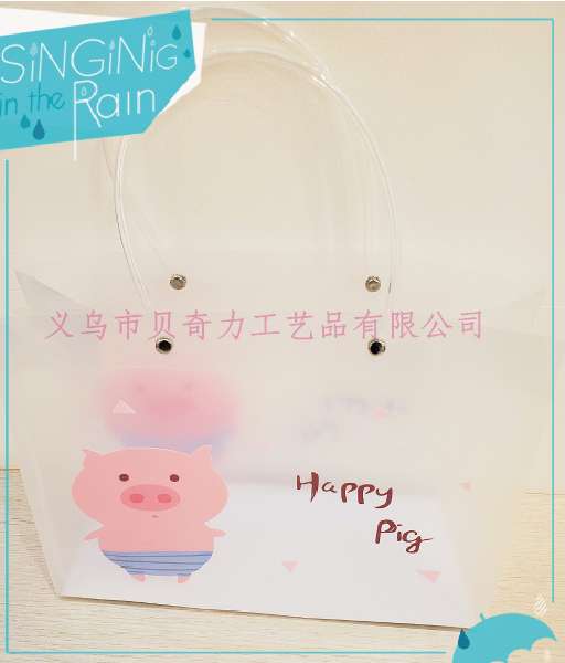 pp购物袋，pp包装袋，pp塑料袋，pp礼品袋，gift paper bag.  pp shopping bag详情图9