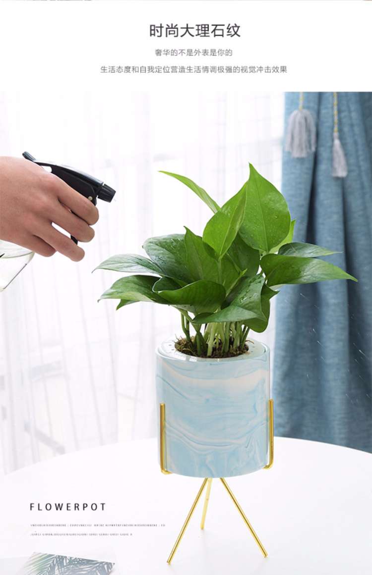 陶瓷工艺品实物图