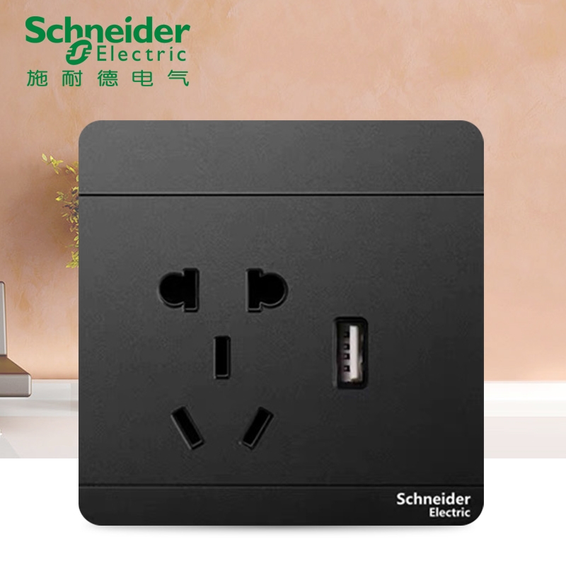 Schneider switch socket Yishang Golden Deep Space Grey 2-3-pin five-hole with USB socket, USB five-hole details Picture