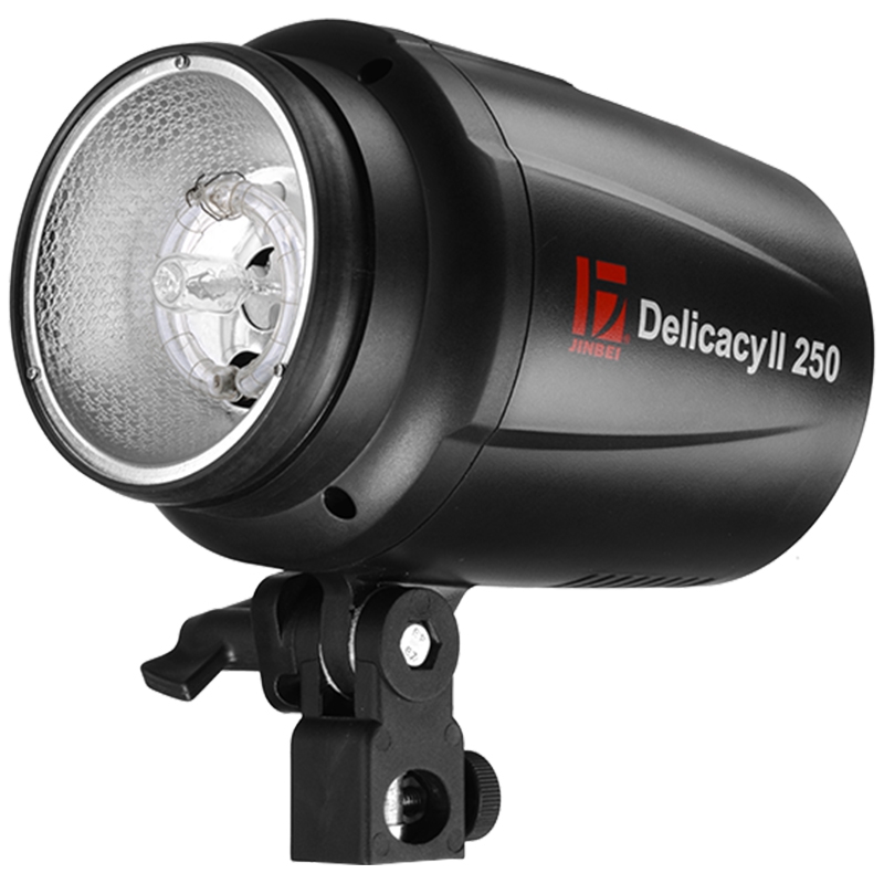 金贝 DII-250W影室专业闪光灯摄影灯 证件照人像淘宝产品拍摄拍照图