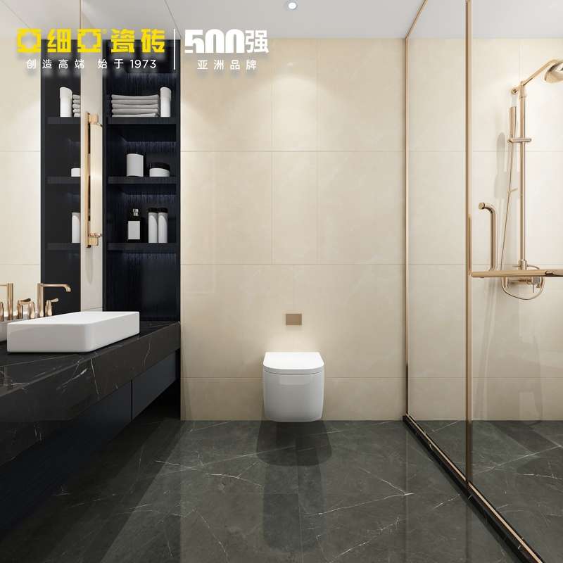 地板砖/地磚/地面/瓷砖地板砖/瓷砖产品图