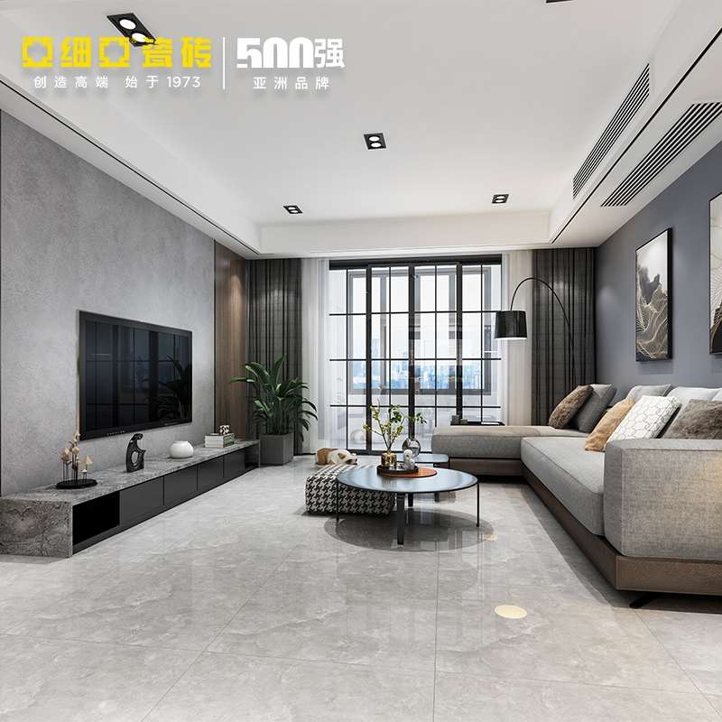 Asia Tiles for the living room, bathroom and toilet, grey 800X800 marble tiles, Persian grey Specification image
