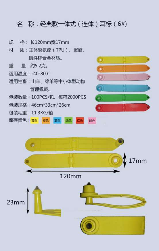 宠物挂牌/挂饰实物图
