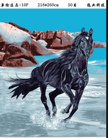 床上用品外贸产品动物花色拉舍尔毛毯详情图10