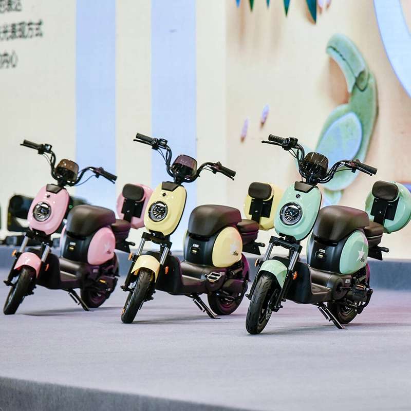 Emma's new electric car details Picture