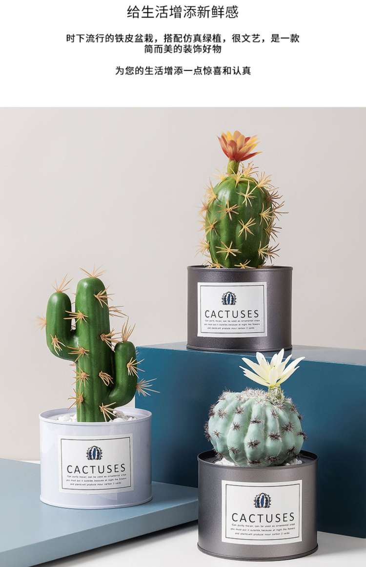 Hanlv Handicrafts, creative simulation cacti, succulents, potted plants, bonsai, home decoration items, coffee tables, TV cabinets, dining table top decorations details Picture