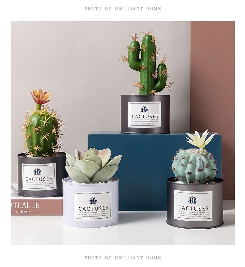 Hanlv Handicrafts, creative simulation cacti, succulents, potted plants, bonsai, home decoration items, coffee tables, TV cabinets, dining table top decorations Application Scenario