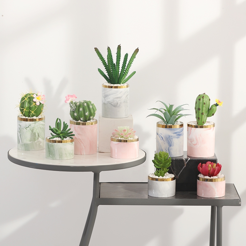 Simulated succulent plant potted plants, bonsai, home decoration items, coffee tables, TV cabinets, dining tables, tabletop decorations, best-selling products for foreign trade Specification image