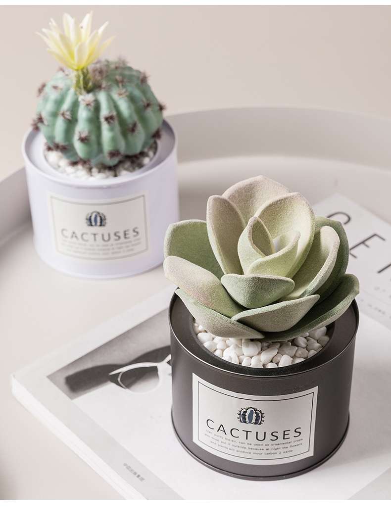 Hanlv Handicrafts, creative simulation cacti, succulents, potted plants, bonsai, home decoration items, coffee tables, TV cabinets, dining table top decorations undefined