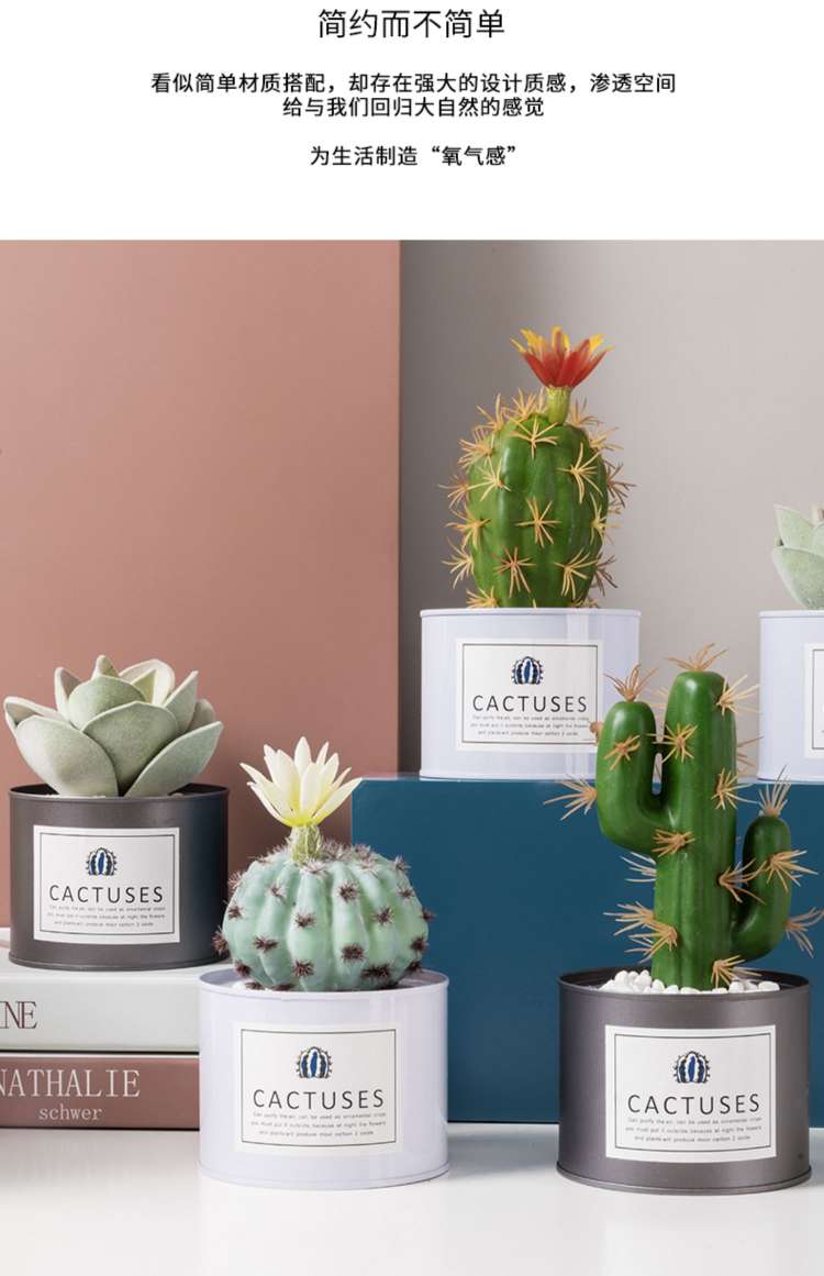 Hanlv Handicrafts, creative simulation cacti, succulents, potted plants, bonsai, home decoration items, coffee tables, TV cabinets, dining table top decorations undefined