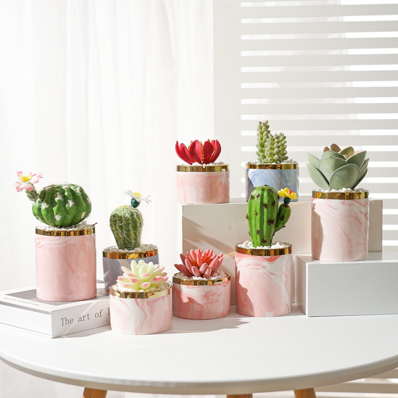 Simulated succulent plant potted plants, bonsai, home decoration items, coffee tables, TV cabinets, dining tables, tabletop decorations, best-selling products for foreign trade Application Scenario