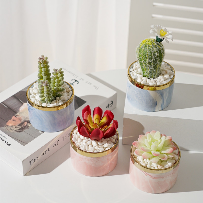 Simulated succulent plant potted plants, bonsai, home decoration items, coffee tables, TV cabinets, dining tables, tabletop decorations, best-selling products for foreign trade undefined