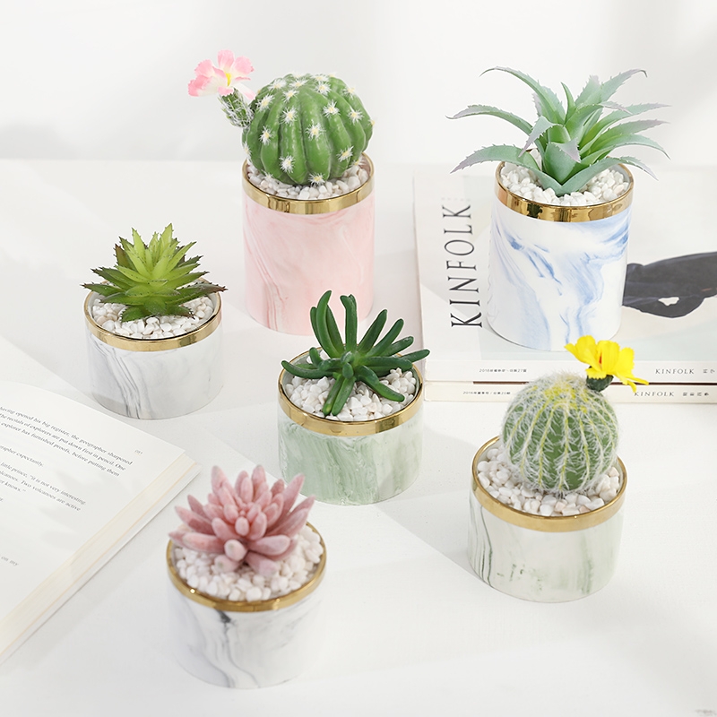 Simulated succulent plant potted plants, bonsai, home decoration items, coffee tables, TV cabinets, dining tables, tabletop decorations, best-selling products for foreign trade undefined