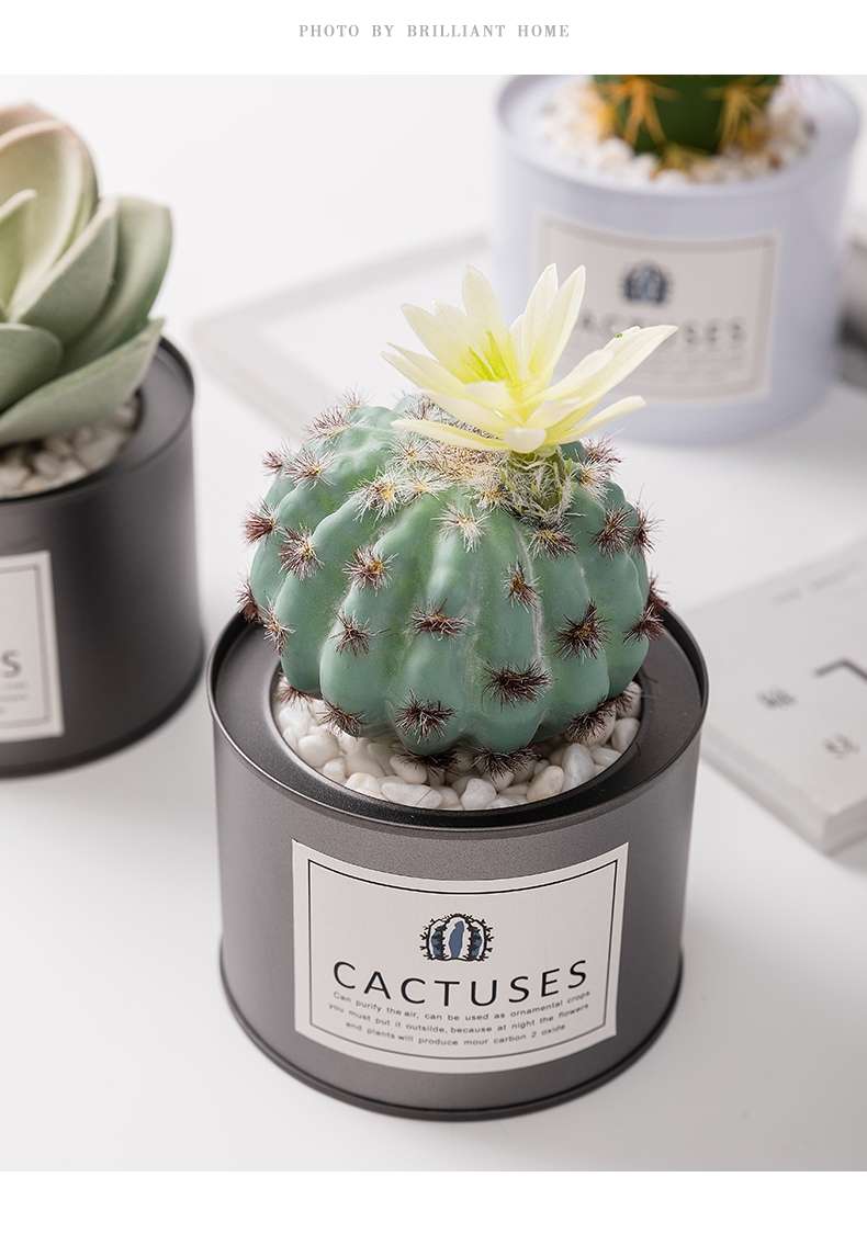 Hanlv Handicrafts, creative simulation cacti, succulents, potted plants, bonsai, home decoration items, coffee tables, TV cabinets, dining table top decorations Specification image