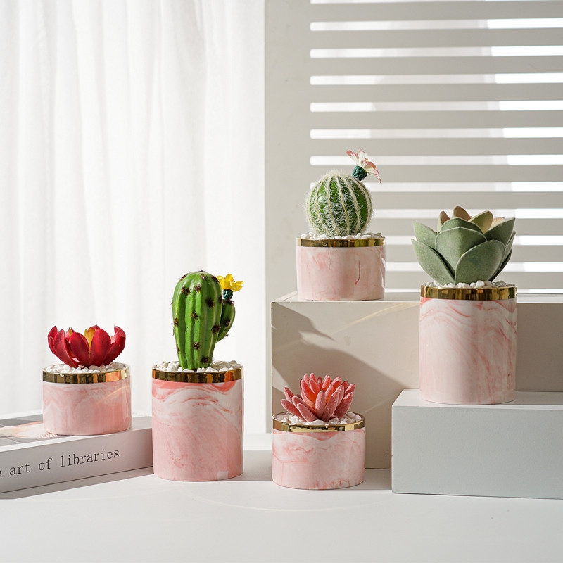 Simulated succulent plant potted plants, bonsai, home decoration items, coffee tables, TV cabinets, dining tables, tabletop decorations, best-selling products for foreign trade undefined