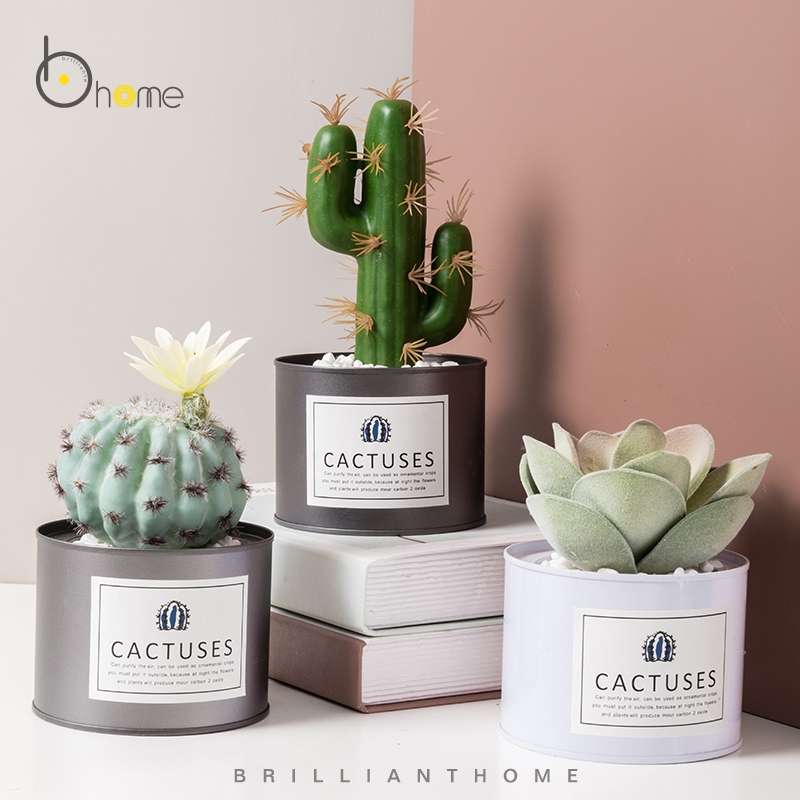Hanlv Handicrafts, creative simulation cacti, succulents, potted plants, bonsai, home decoration items, coffee tables, TV cabinets, dining table top decorations Item Picture