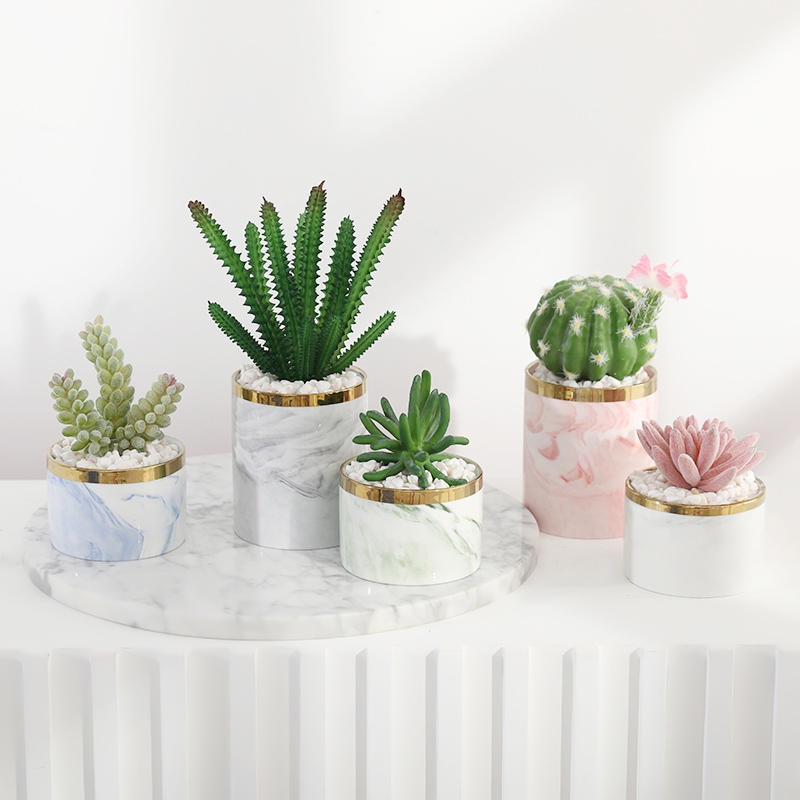 Simulated succulent plant potted plants, bonsai, home decoration items, coffee tables, TV cabinets, dining tables, tabletop decorations, best-selling products for foreign trade Item Picture